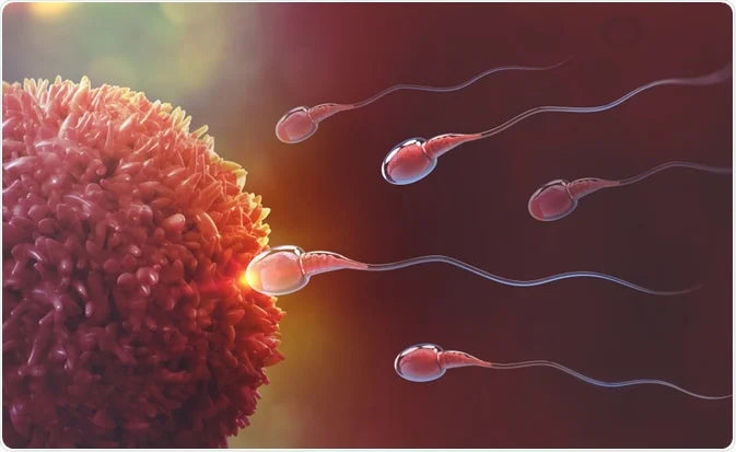 Boost Male Fertility Naturally: Unigreen Shilajit, a potent source of vitality for reproductive health